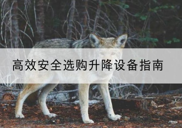 上饶升降货梯厂家推荐-*安全选购升降设备指南