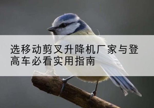 上饶电动升降机厂家-选移动剪叉升降机厂家与登高车必看实用指南